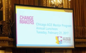 ACE ChangeMakers On Screen