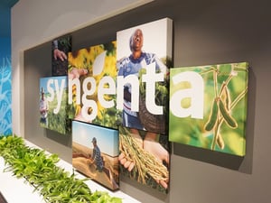 Another-View-Sygenta-Wall-graphics