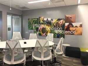 Canvas-Prints-at-New-Syngenta-Office