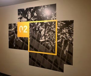 Cushing Printed and Installed the Hallway Graphics.
