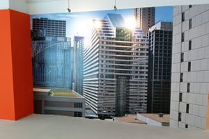 Murals and Wall Coverings