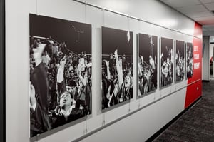 D214_CASE STUDY_WEB-7