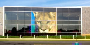 School Window Graphics-16