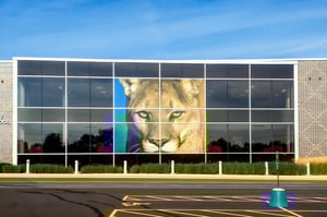 School_Branding_Example-5