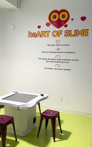 Wayfinding Wall Graphics1